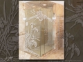 Bathroom_Glass_Shower-Enclosures-Windows-Mirrors-03